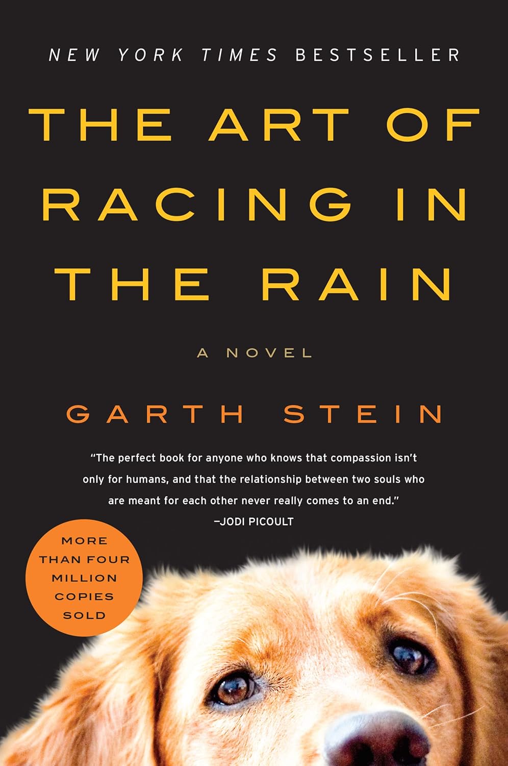 art of racing the rain - swati's Journal short story