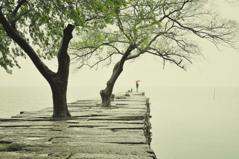 You won't find me waiting Cover image